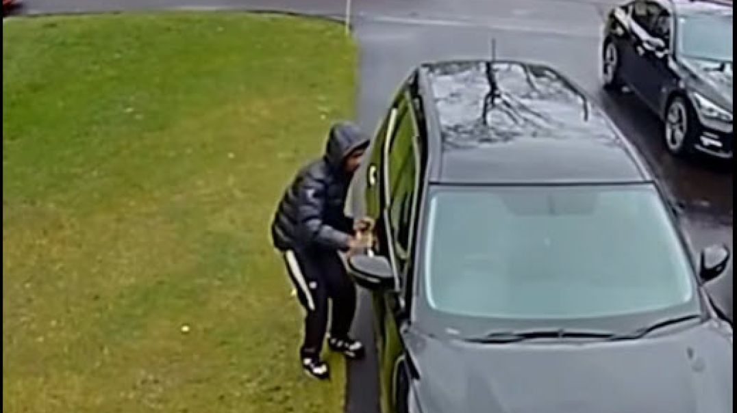 Stolen Car, Tragic Ending… Now the Owner Is Being Sued?! 🤯 | You Can’t Make This Up