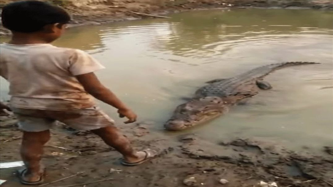 ⁣He Picked a Fight With an Alligator… AND LOST! 😂
